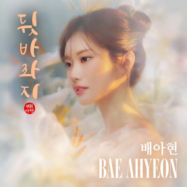 배아현 보도 사진