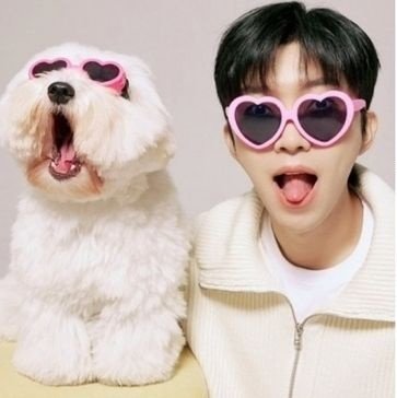 임영웅 보도 사진